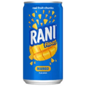 Rani Float Mango Drink 180ml
