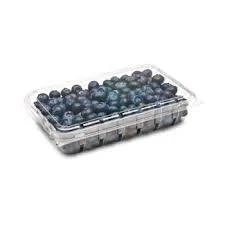 Fresh Blueberries 250g