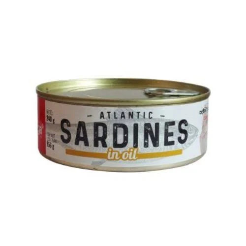 Banga Atlantic Sardines in Canola Oil 120g