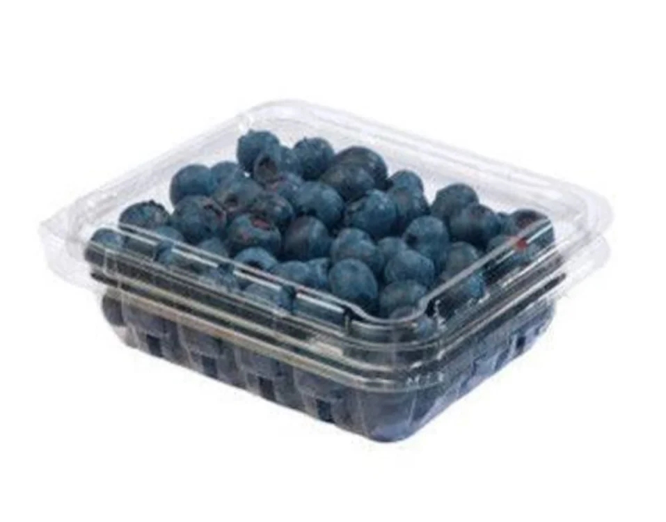 Fresh Blueberry 125g