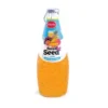 Pran Basil Seed Mix Fruit  Juice 290ml
