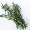 Rosemary 20g